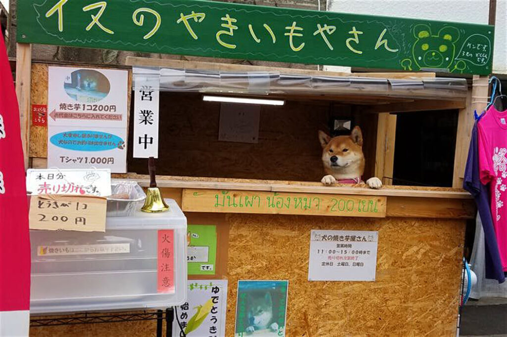 Cane in un chiosco Giapponese