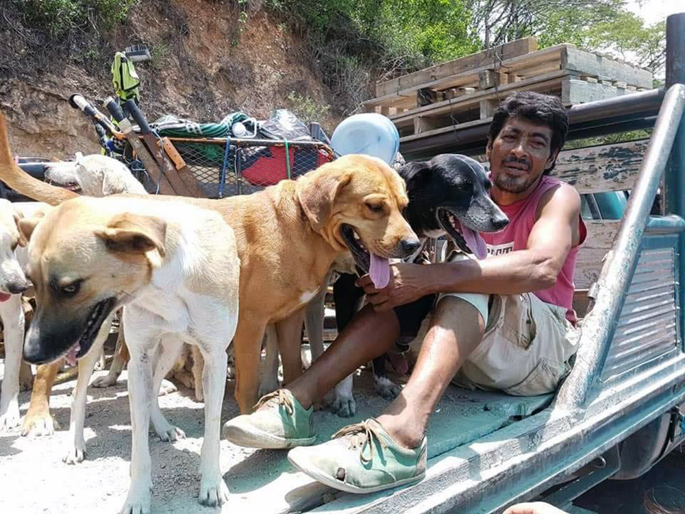 Edgardo Perros che aiuta i cani randagi