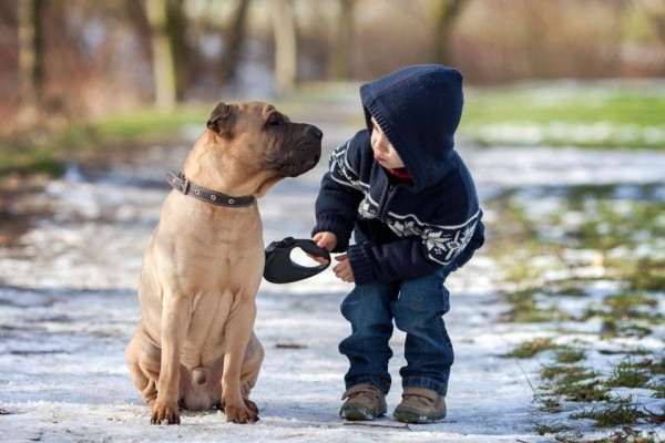 cane e bimbo