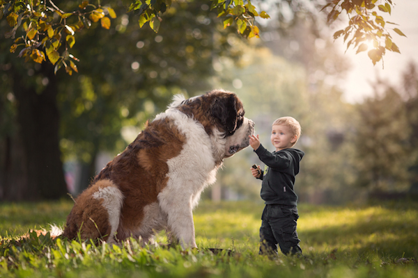 I cani possono educare i bambini