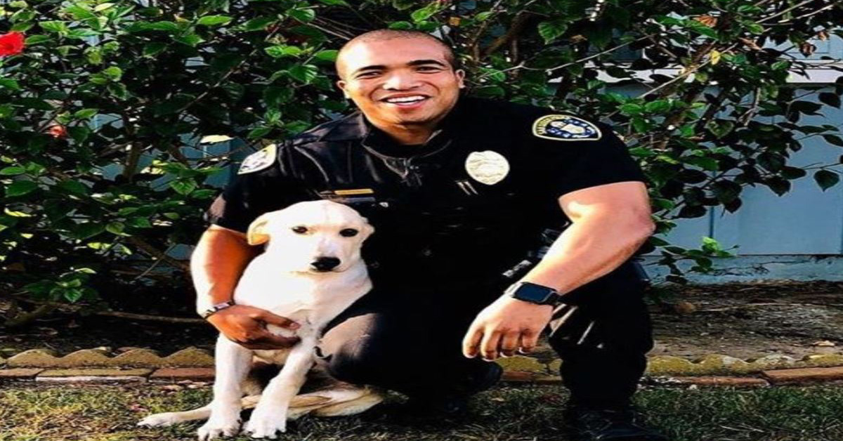 Victor, il cane che ha trovato la felicità grazie ad un poliziotto