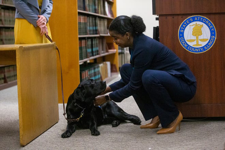 La storia del cane Hatty