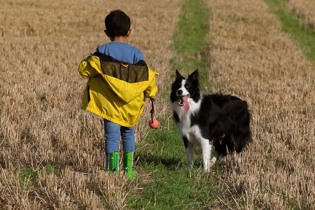 cane e bambino in campagna