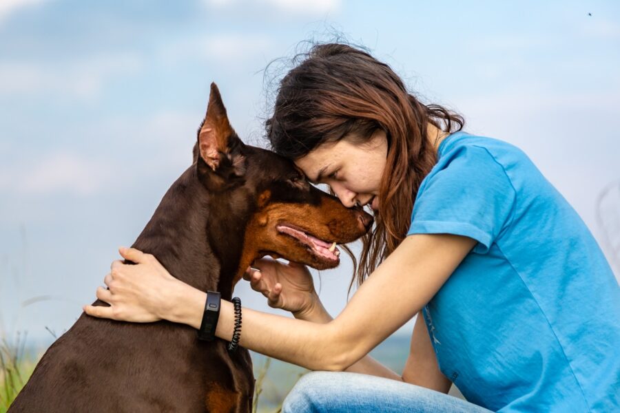 intesa fra cane e ragazza 