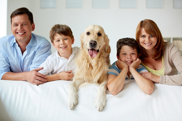 cane Golden retriever con famiglia