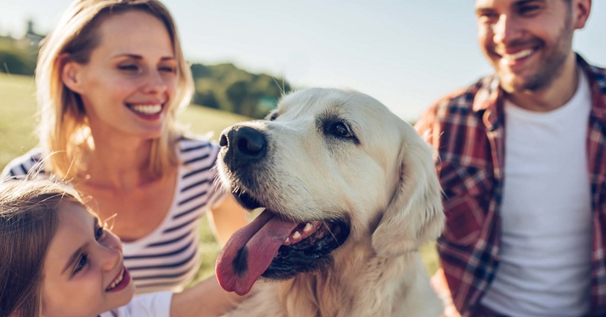 Cani che vogliono fare felici gli umani: le razze più compiacenti