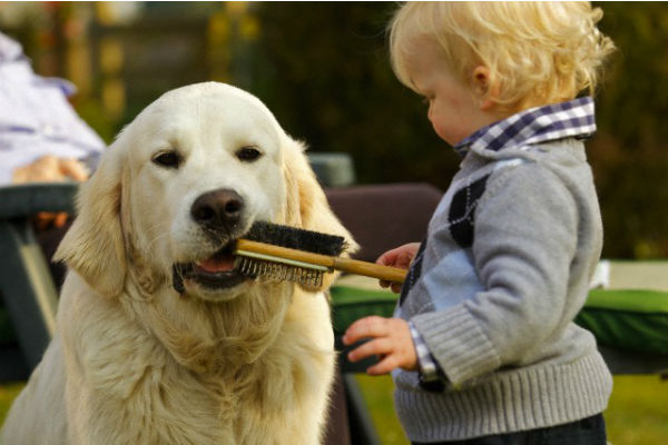 cane e bambino