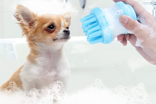 cane che fa il bagno