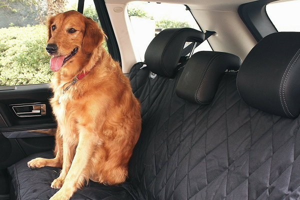 cane su copri sedile per auto