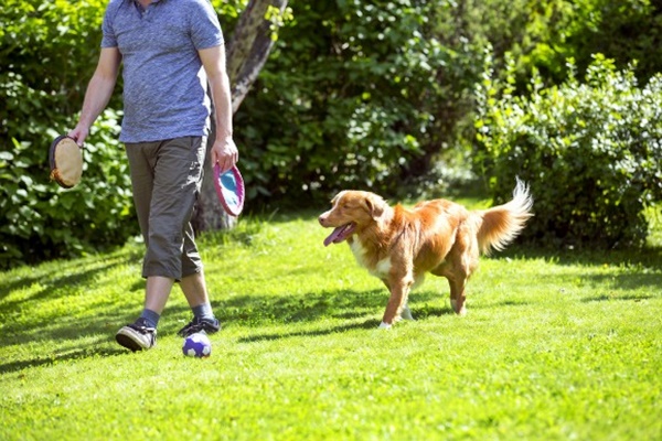 passeggiata con il cane