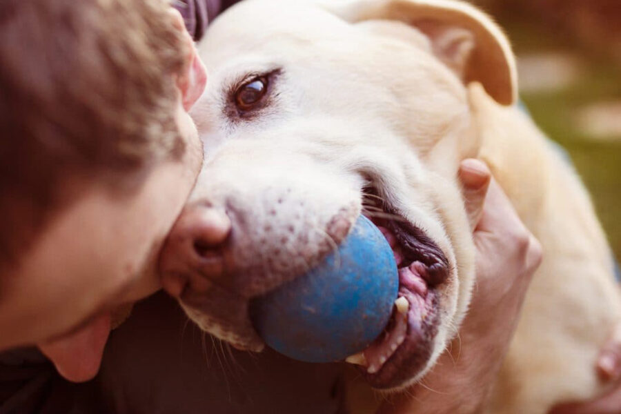 cane con pallina in bocca