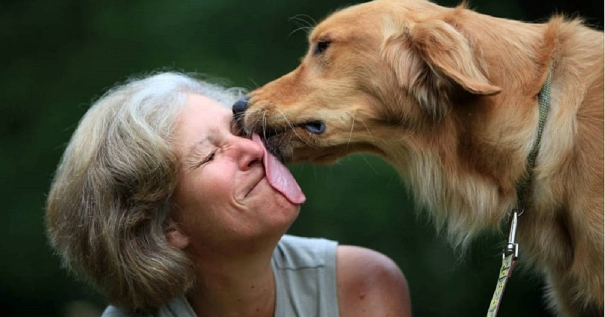 Come far smettere il cane di leccarmi