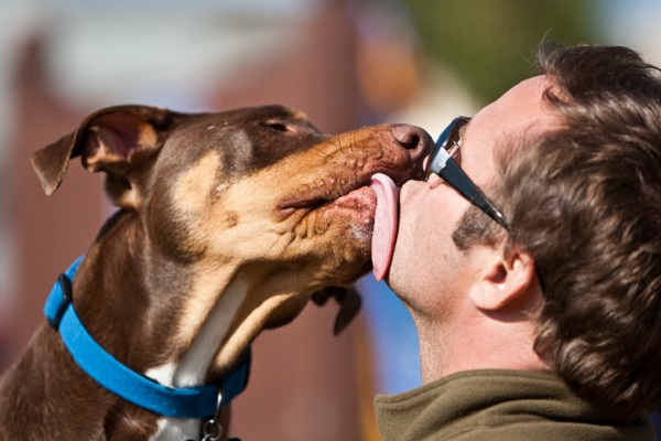 cane lecca ragazzo