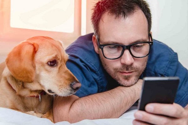 cane e uomo davanti a cellulare