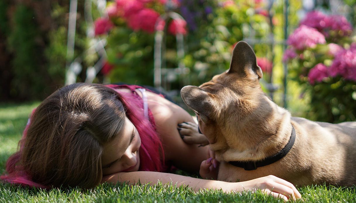 I cani comunicano con le zampe: ecco cosa dicono