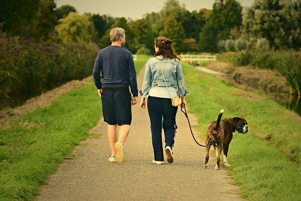 Il cane si ricorda gli ex, dopo la rottura?