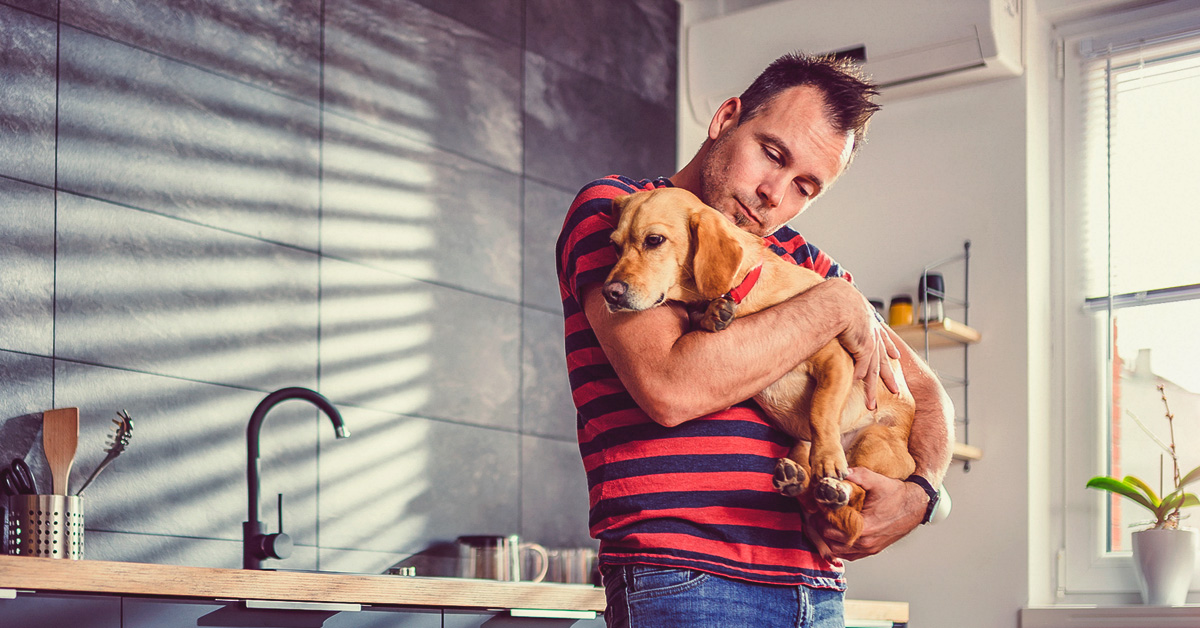 Aiutare il cane timoroso quando ci sono ospiti in casa: ecco come fare