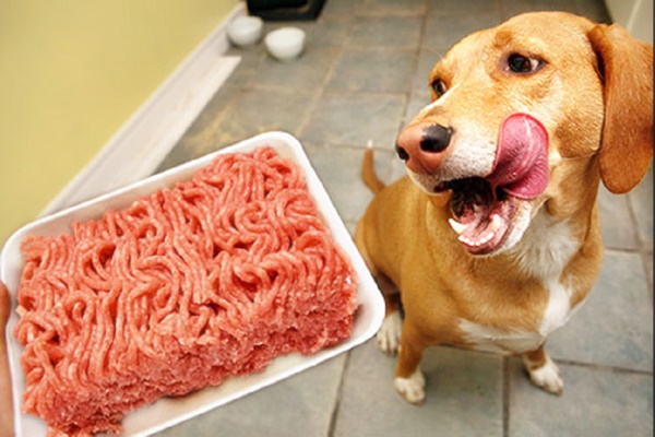 carne macinata per cani