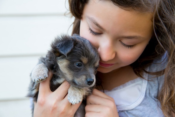 cucciolo di cane in braccio