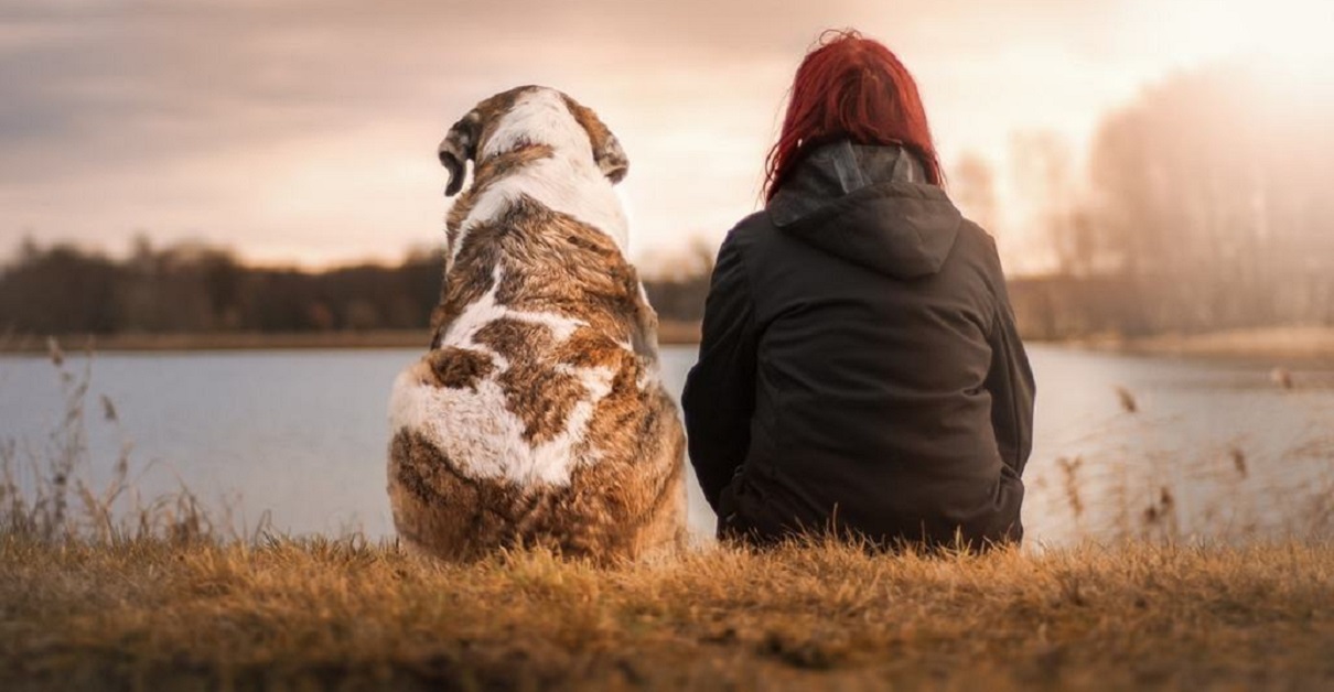 Gestire il senso di colpa per l’eutanasia al cane: non sei solo