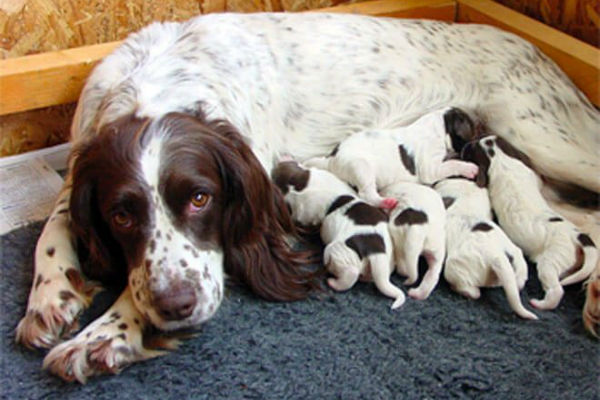 mamma e figli