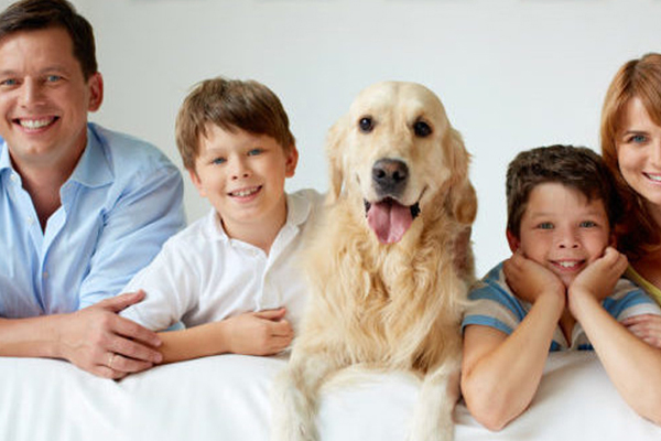 Cane in famiglia