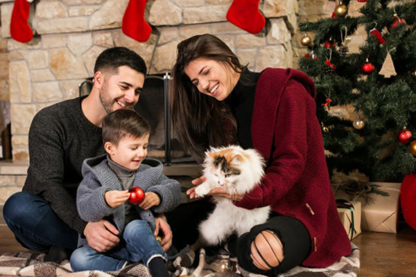 Cane in famiglia per Natale