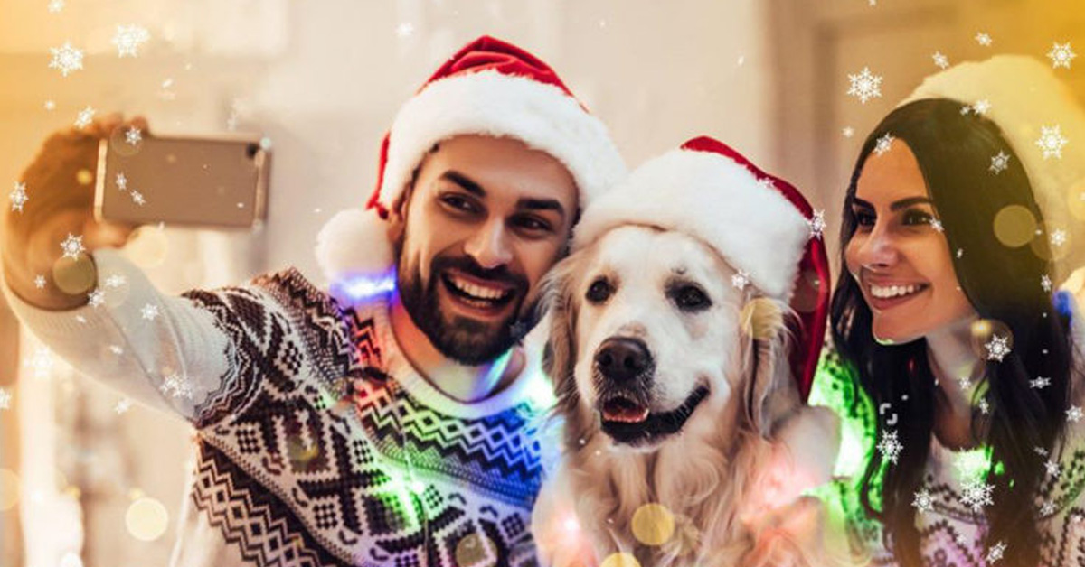 Cani in affitto per Natale: la nuova moda che fa discutere