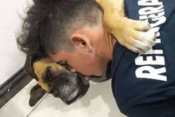 Cane abbracciato al proprietario