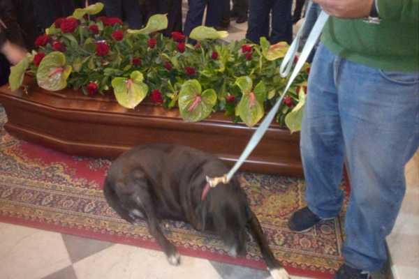 Cane al funerale del proprietario