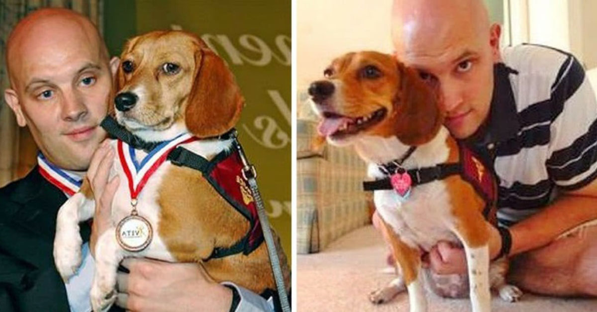 Belle, la cagnolina che ha salvato il suo proprietario diabetico