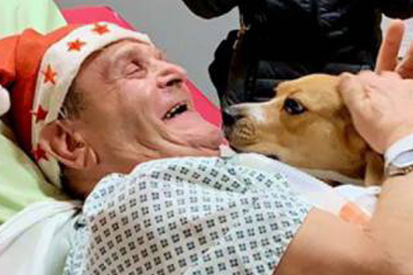 Cane in ospedale con il proprietario