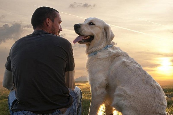 cane e ragazzo