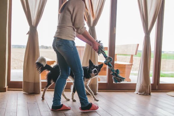 giocare con il cane in casa