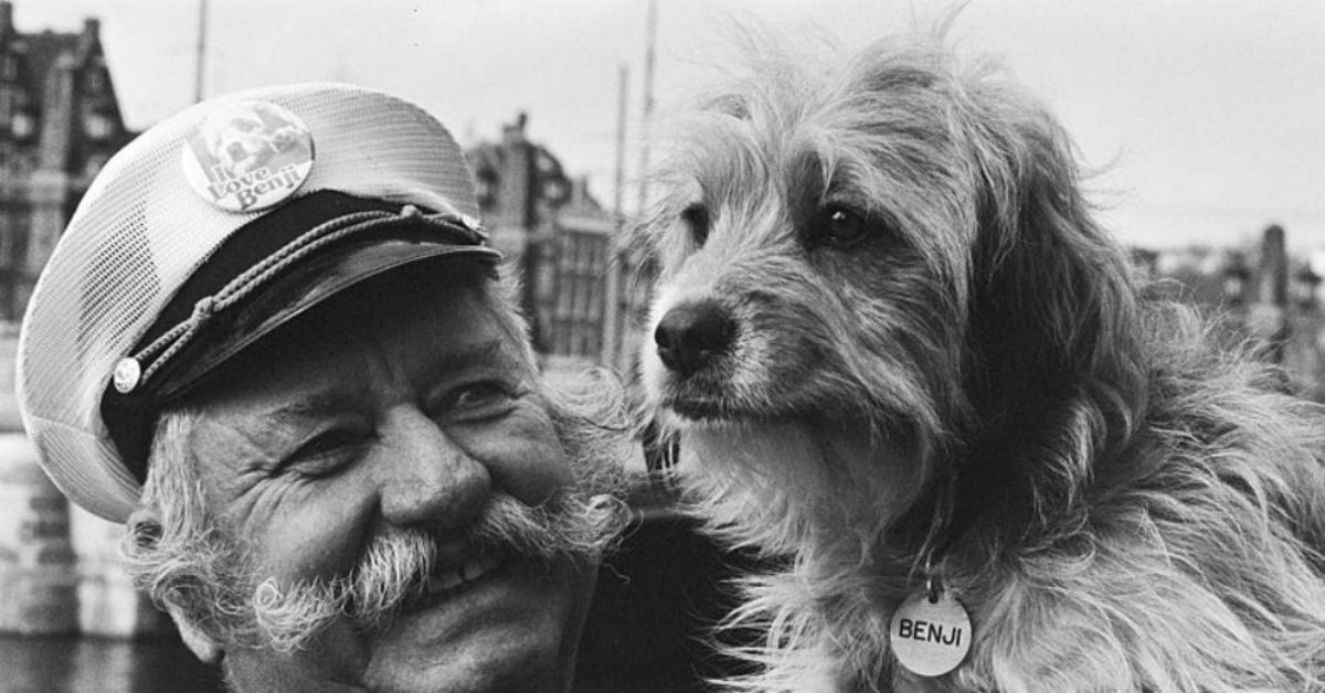 Ricordate Beniamino? Ecco tutta la verità sul cane del film del 1974