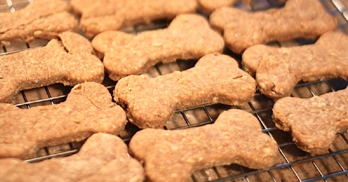 Biscotti ipoallergenici per cani: la ricetta per i quattrozampe più delicati