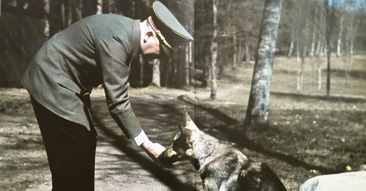 Sapete chi è Blondi? Ecco tutta la verità sul cane che teneva compagnia a Hitler