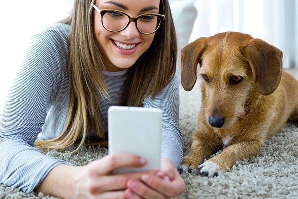 cane e smartphone