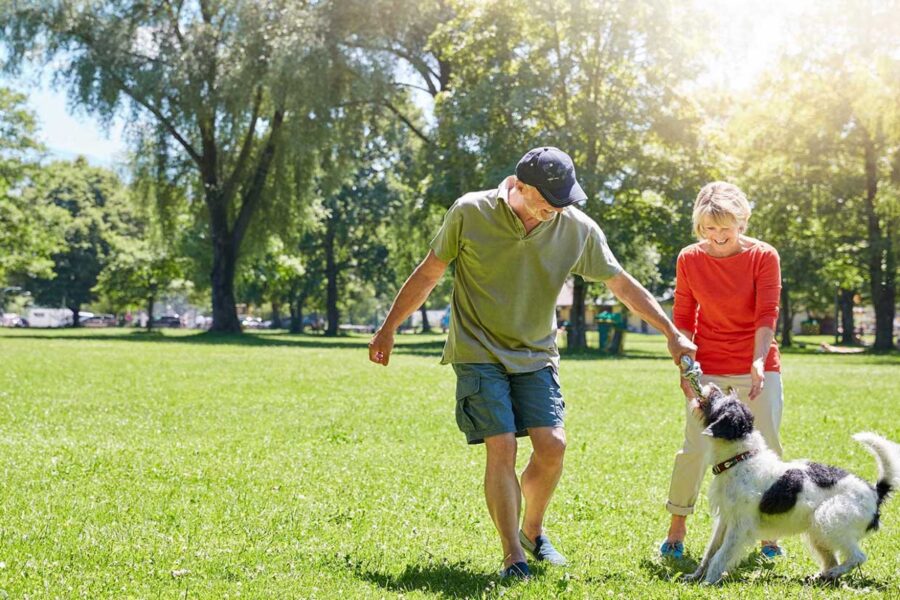 cane al parco con i padroni