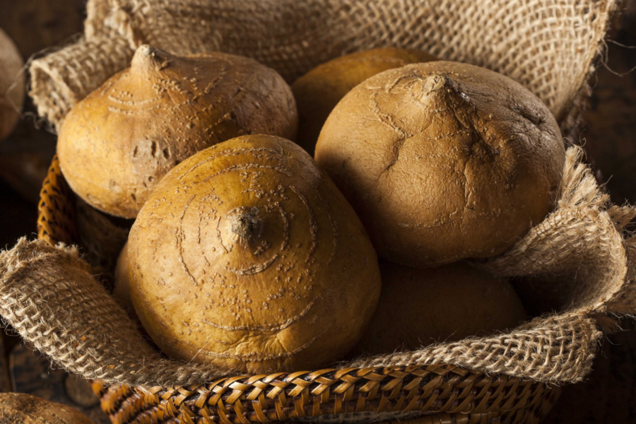 patate messicane per la dieta del cane