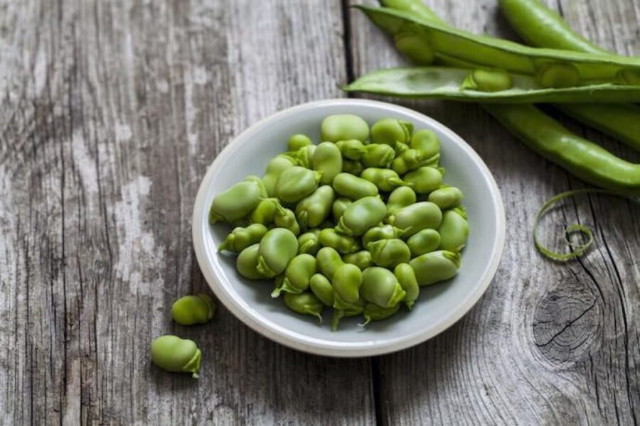 edamame per cani