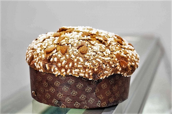 panettone per cani