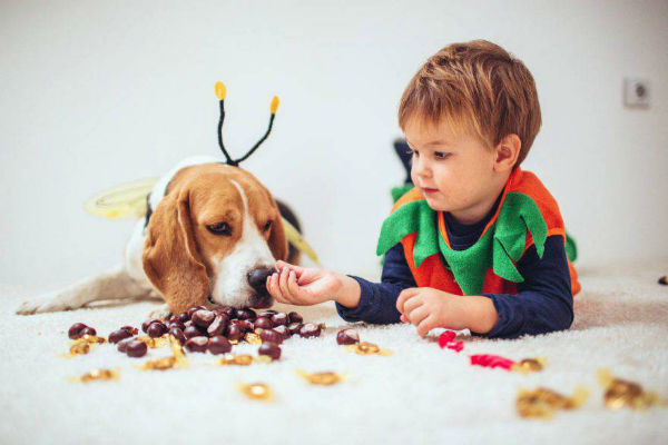 i cani capiscono la differenza tra adulti e bambini