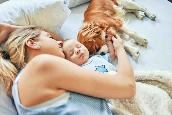 mamma cane e neonato a letto