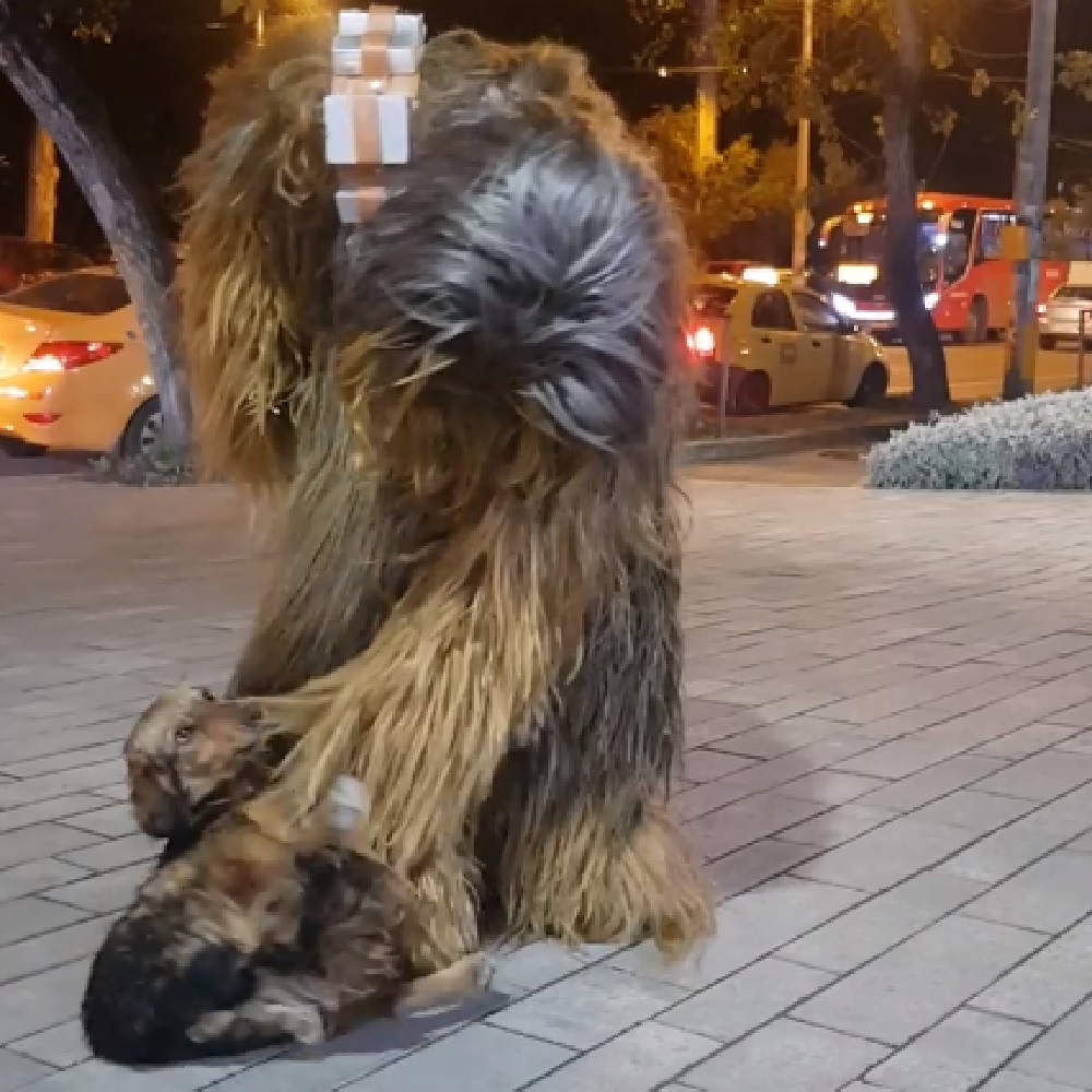 chewbecca-cane