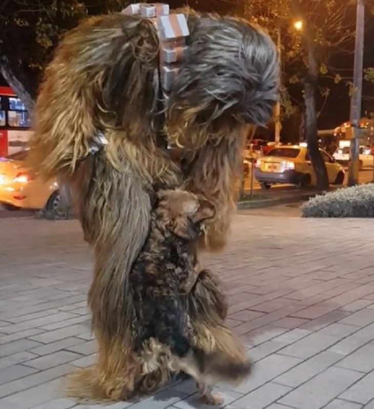 chewbecca-costume