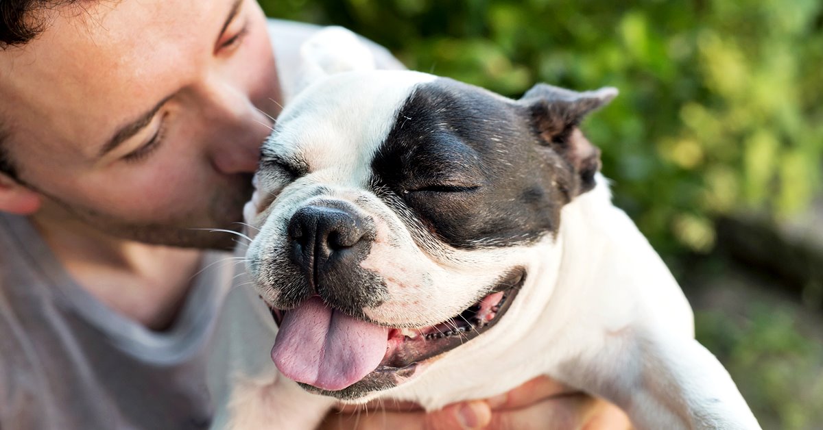 12 cose che chi ha un cane vuole che gli altri sappiano