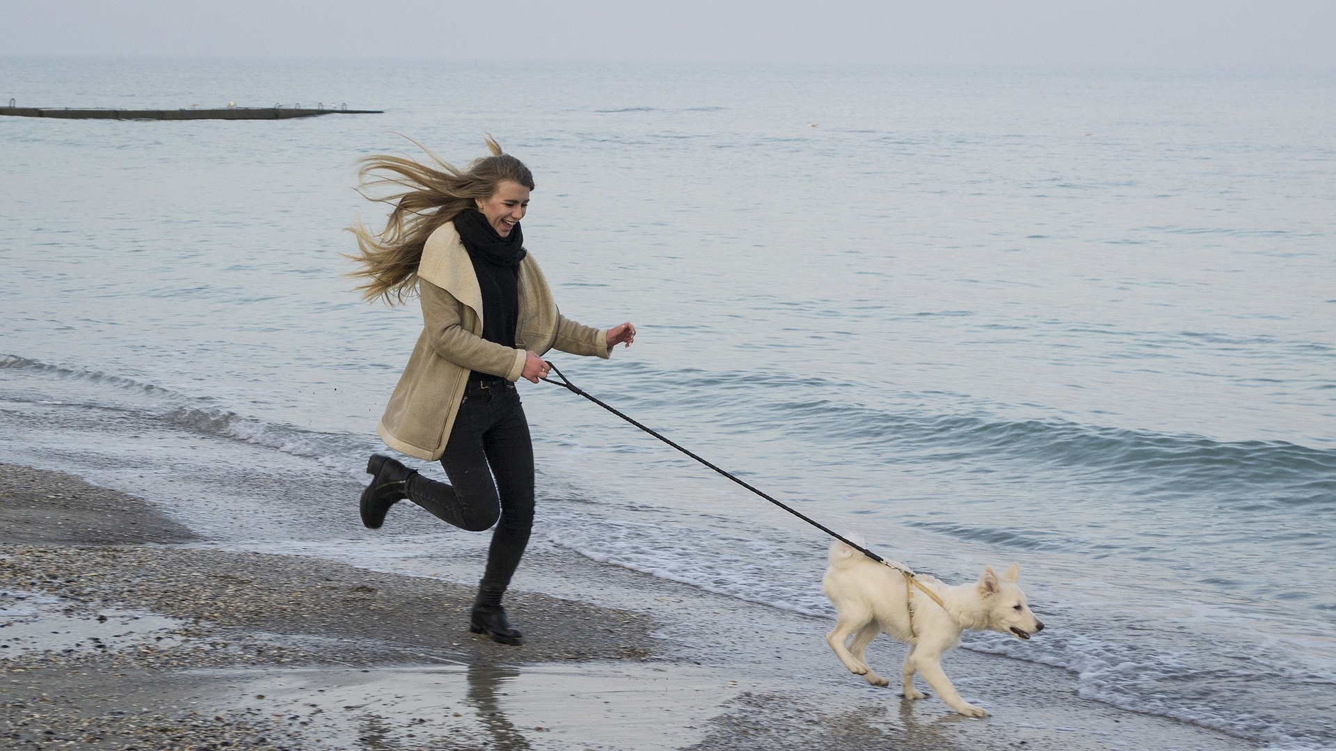 I cani sentono gli odori attraverso l'acqua oppure no?