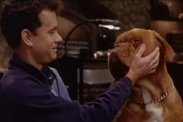 tom hanks con cane dogue de bordeaux