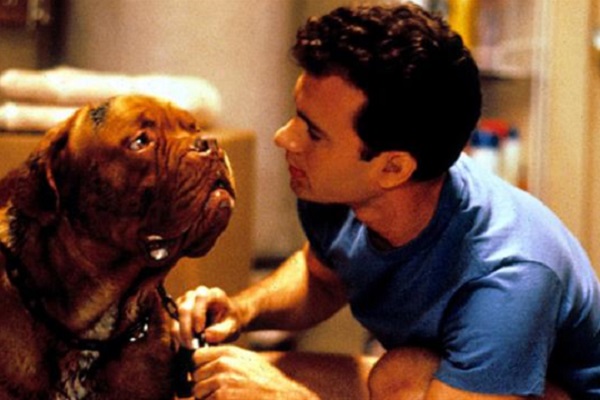 scena di turner and hooch con cane